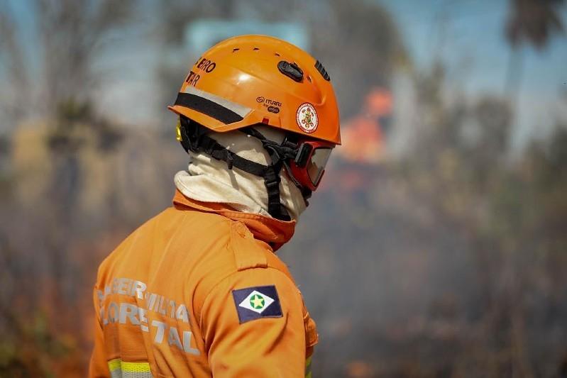 Corpo de Bombeiros combate 18 incêndios florestais neste sábado (29)