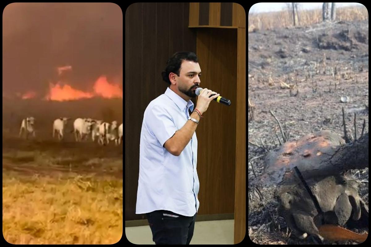 Incêndio em Jangada provoca prejuízo de R$ 50 milhões e destrói lavouras