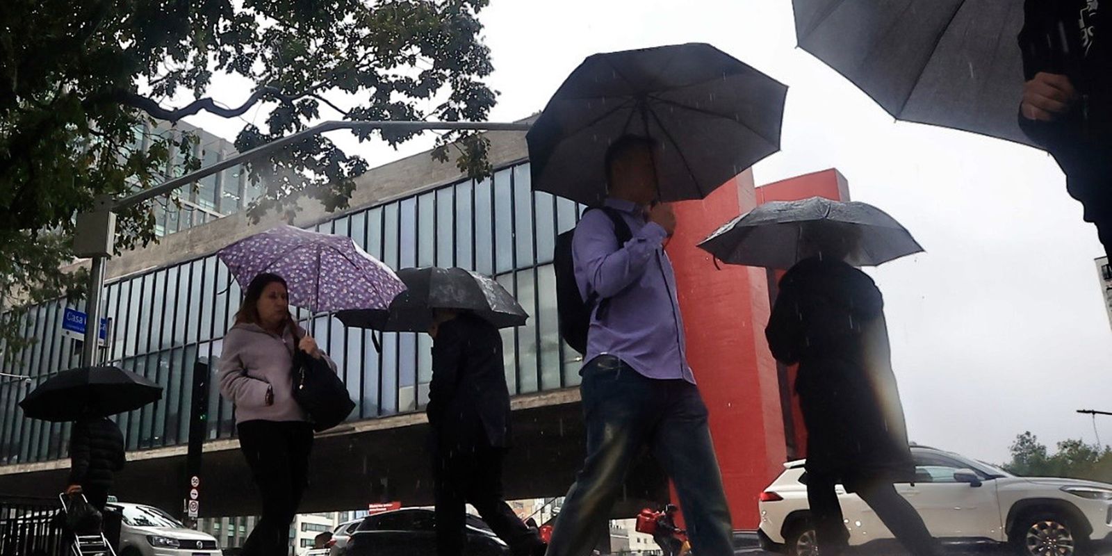 Chuvas em São Paulo deixam cidades do Vale do Ribeira em estado de emergência