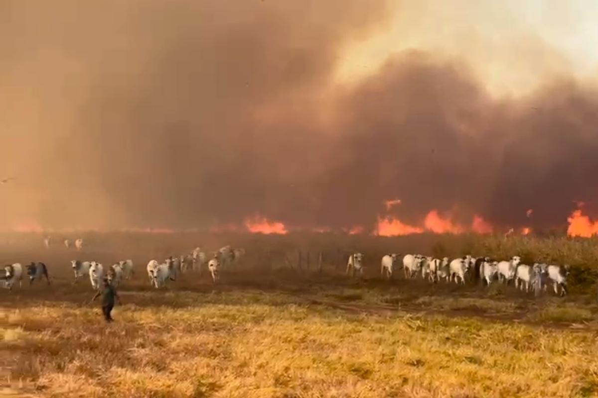 Governo federal reconhece a situação de emergência em Jangada após incêndio 