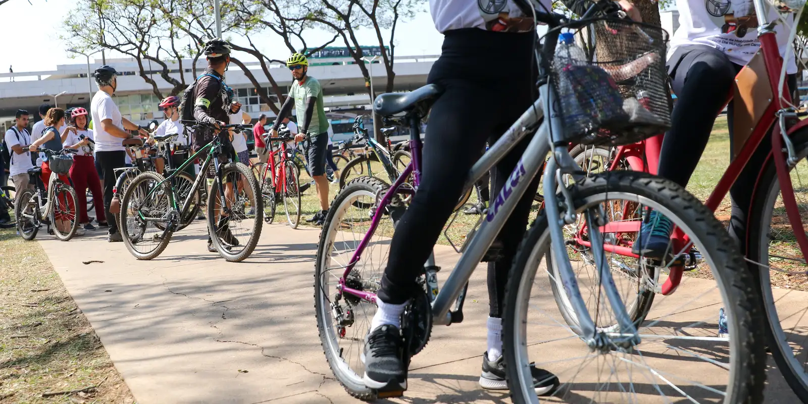 Justiça torna réus cinco acusados pela morte de ciclista no Rio
