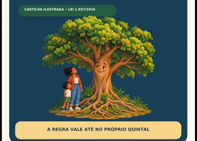 Nova lei define regras para poda e corte de árvores em Nobres; veja o que muda