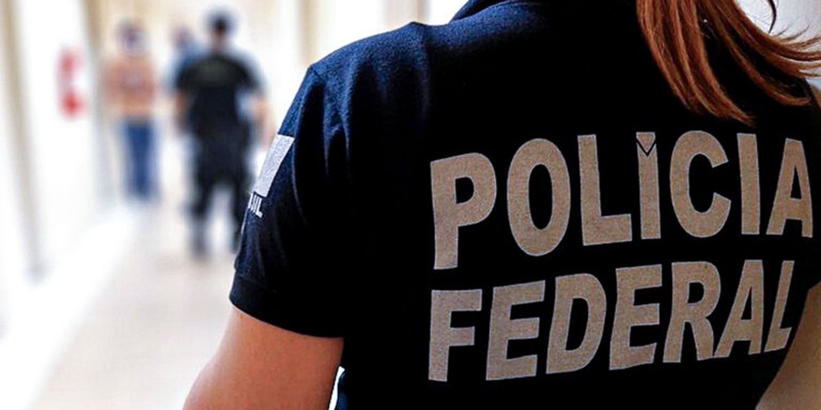 PF faz operação contra fraude no registro de armas para CACs