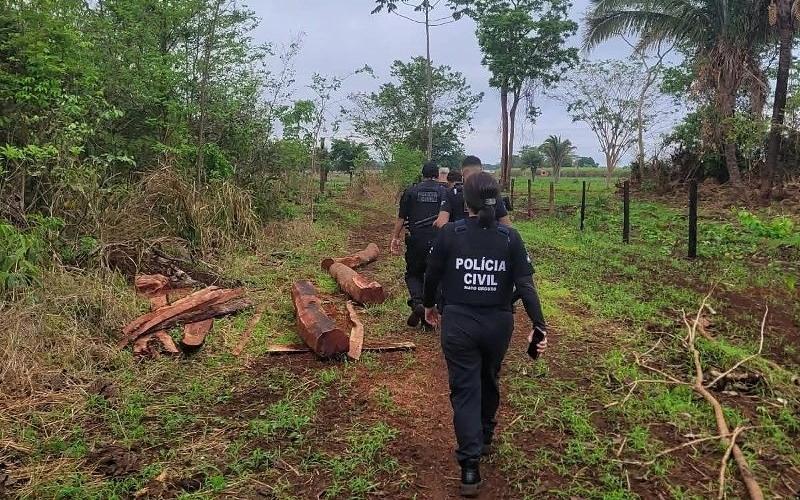 Polícia Civil de Nobres investiga furto de gado e incêndio em propriedade 