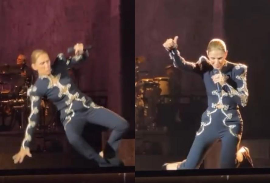 Céline Dion leva tombo 'gracioso' durante show em Paris e viraliza