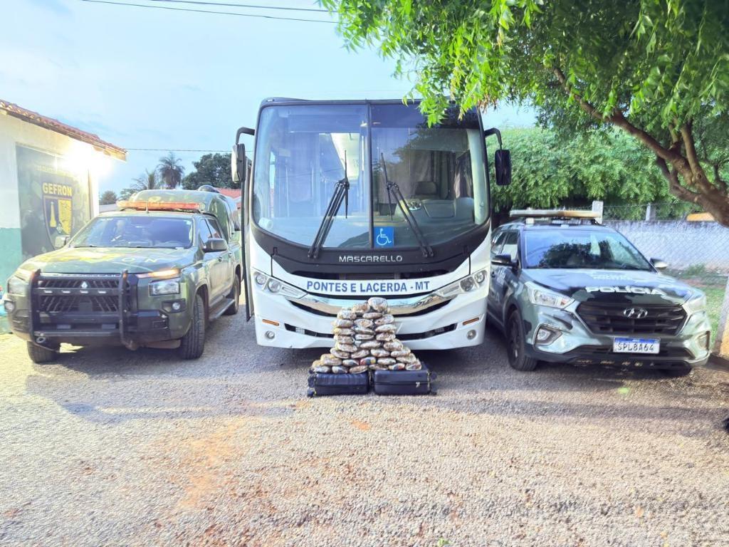 Polícia Militar e Gefron apreendem 31 tabletes de maconha escondidos em bagageiro de ônibus