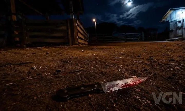 Adolescente de 17 anos esfaqueia irmão pelas costas após discussão familiar