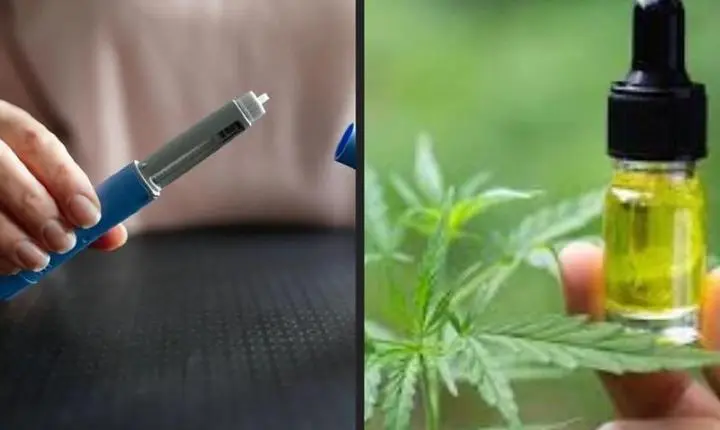 Anvisa proíbe venda de canetas emagrecedoras e canabidiol sem registro