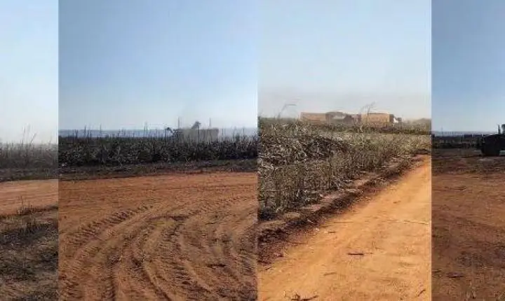 Após incêndio em Nova Olímpia, UISA mobiliza máquinas para colher cana
