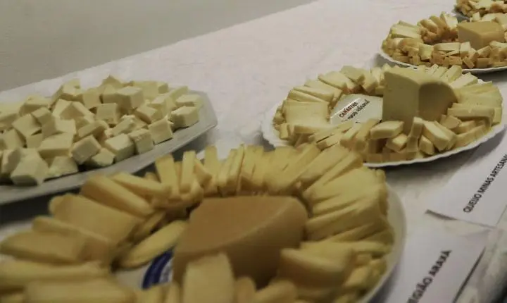 Brasil inicia importação de queijo com alíquotas reduzidas após Acordo Mercosul-UE