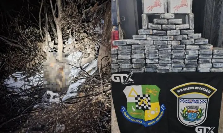 Carga de cocaína e dois corpos são encontrados ao lado de avião em MT