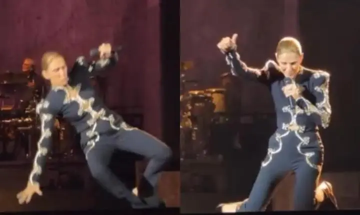 Céline Dion leva tombo 'gracioso' durante show em Paris e viraliza