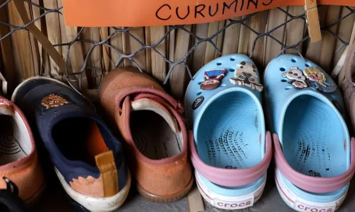 Censo escolar revela que 17% das creches e pré-escolas públicas possuem infraestrutura básica completa