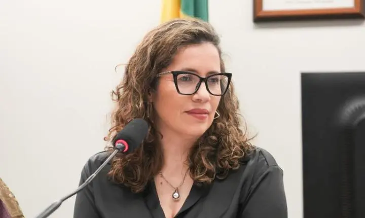 Comissão de Cultura veta incentivo público via Lei Rouanet a obras que incitem violência contra a mulher