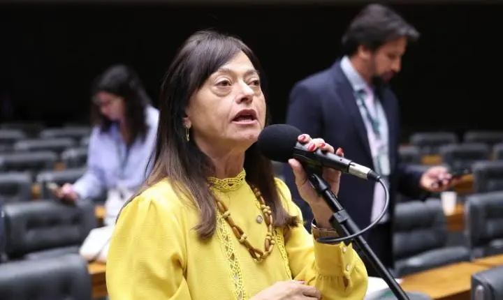 Câmara dos Deputados debate déficit de auditores-fiscais do trabalho e seus impactos