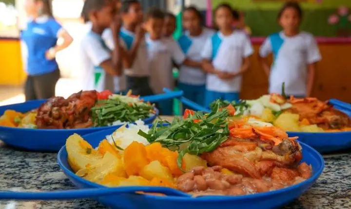 Comissão discute reajuste automático anual para alimentação escolar