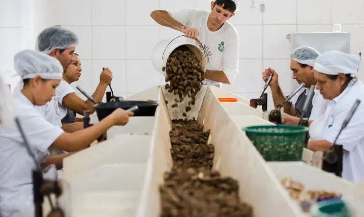 Mdic encerra consulta pública sobre bens sustentáveis no acordo Mercosul-UE