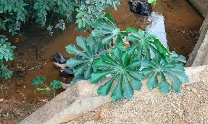 Corpo enrolado em saco plástico é encontrado dentro de córrego em Várzea Grande