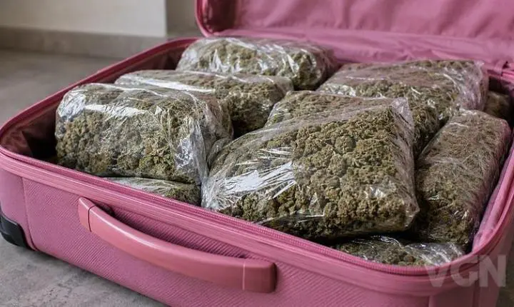 Mulher é presa com 25 kg de skank em mala de ônibus