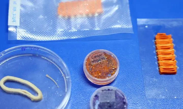 Embrapa desenvolve salmão, caviar e anéis de lula veganos por meio de impressão 3D