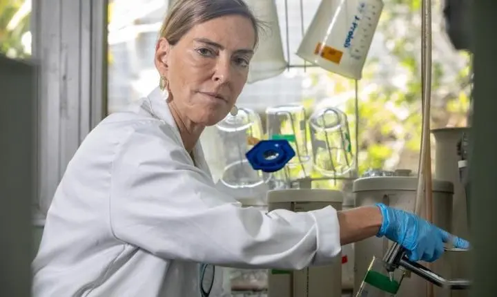 Erros em Pesquisa de Polilaminina: Cientista Confessa Problemas e Planeja Revisão Completa