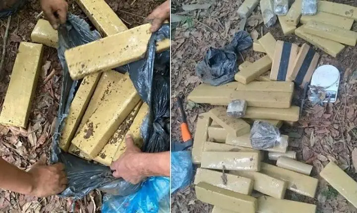 Escondidos na mata: Polícia Civil encontra 40 kg de drogas em depósito de facção criminosa