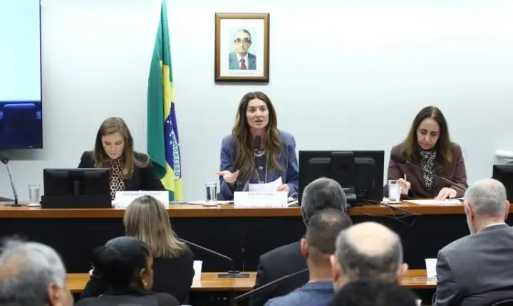 Debate na Câmara dos Deputados polariza sobre o futuro das licenciaturas EaD