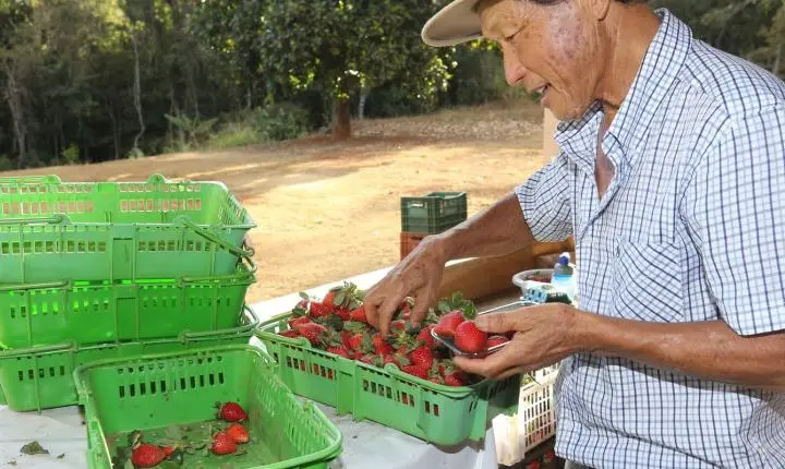 Finep destina R$ 220 milhões para impulsionar inovação na agricultura familiar