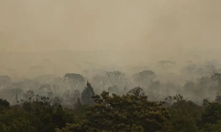 Força Nacional do SUS atua no Amazonas contra impactos de incêndios florestais