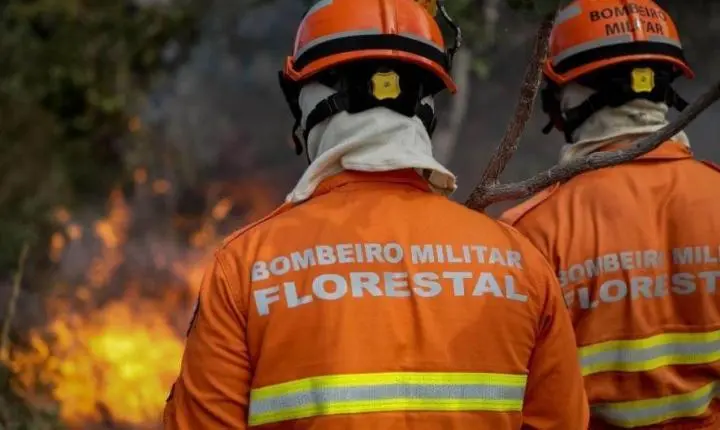 Força-tarefa dos Bombeiros combate três queimadas florestais 