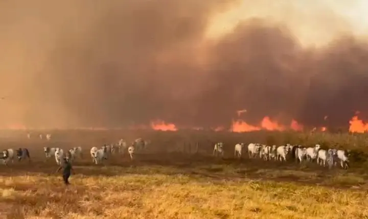 Governo federal reconhece a situação de emergência em Jangada após incêndio 