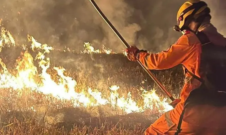 Heróis contra as Chamas: O Intenso Combate dos Bombeiros ao Incêndio em Rosário Oeste