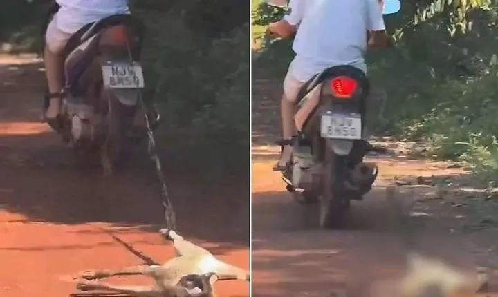 Homem é flagrado arrastando gato preso a moto e caso gera forte indignação em MT; Veja vídeo 