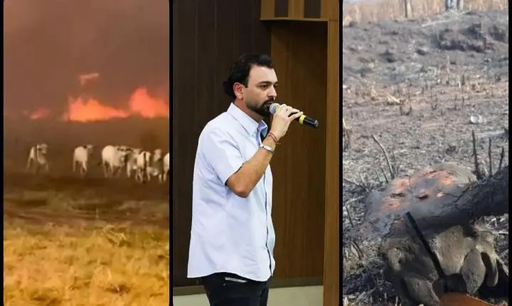Incêndio em Jangada provoca prejuízo de R$ 50 milhões e destrói lavouras