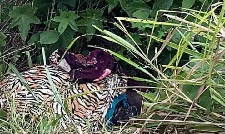 Mulher é encontrada morta enrolada em cobertor