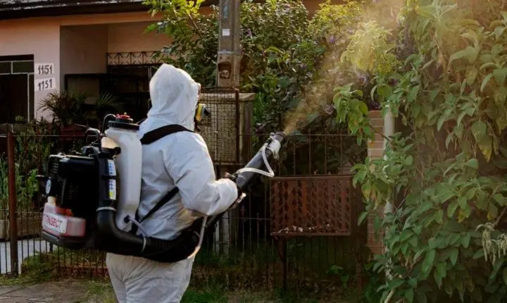 Nobres Registra Índice de Infestação do Aedes aegypti Menor que Recomendado pela OMS