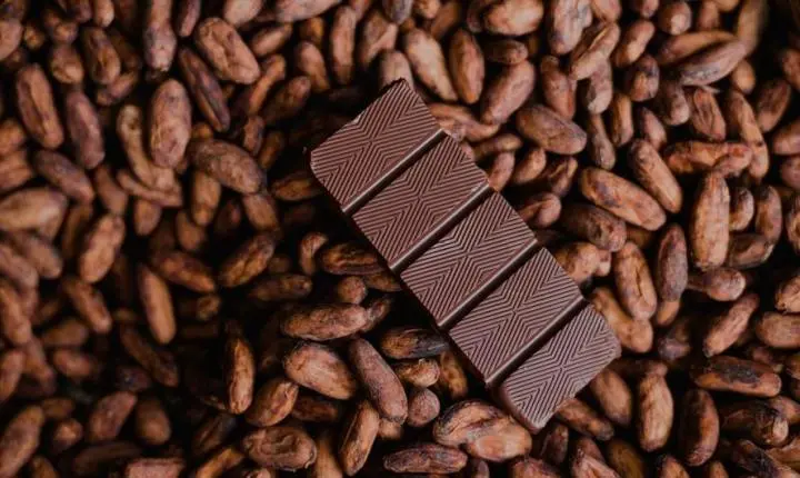 Paixão pelo chocolate impulsiona alta no consumo entre os brasileiros