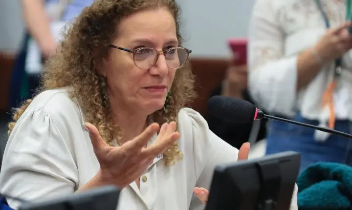 Parlamentares governistas brasileiros dialogam nos Estados Unidos sobre soberania e defesa do PIX
