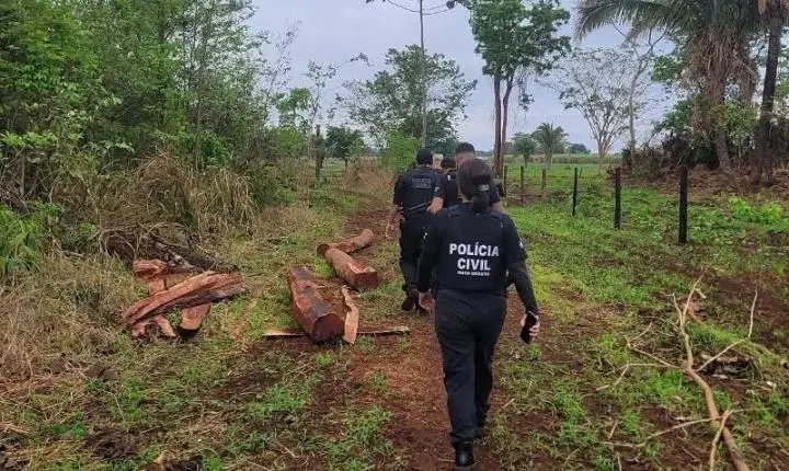 Polícia Civil de Nobres investiga furto de gado e incêndio em propriedade 
