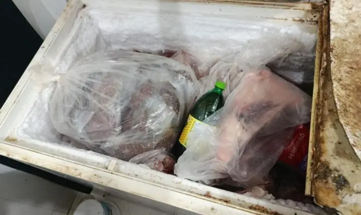Polícia fecha açougue com baratas no balcão, isca para rato e insetos no frango