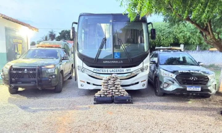 Polícia Militar e Gefron apreendem 31 tabletes de maconha escondidos em bagageiro de ônibus