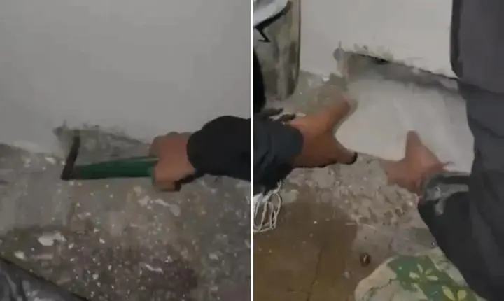 Policiais encontram antenas starlink na parede de cela em presídio do Rio
