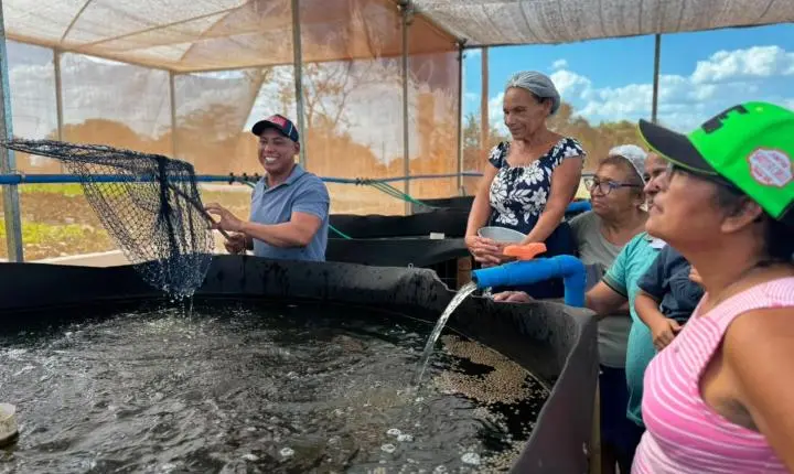 Projeto de aquaponia idealizado por Juca do Guaraná realiza primeira despesca de tilápias em Rosário Oeste
