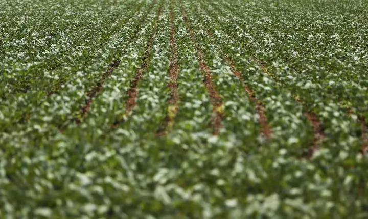 Reunião sobre dívidas rurais de produtores termina sem consenso