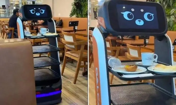 Robô garçom serve pedidos, fala com clientes e vira estrela em padaria