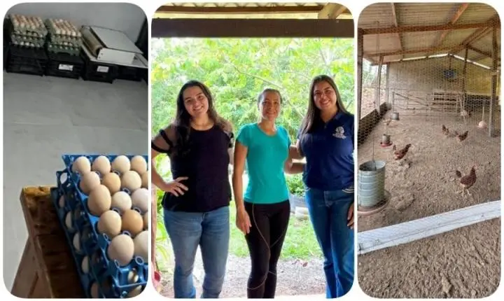 Rosário Oeste avança na regularização de pequenos produtores rurais por meio do SIM
