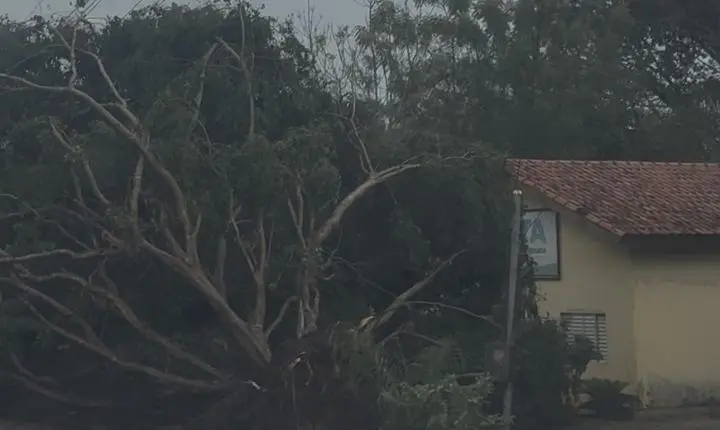 Rosário Oeste Publica Decreto de Emergência Pós-Temporal