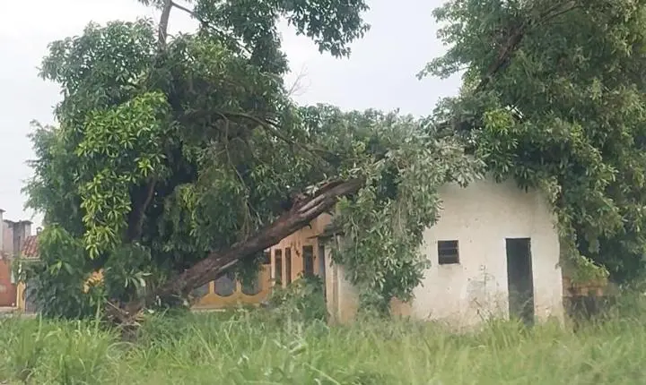 Rosário Oeste Publica Decreto de Emergência Pós-Temporal