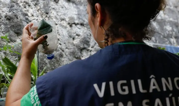 São Paulo registra mais de 58 mil casos de dengue e 42 mortes em 2024