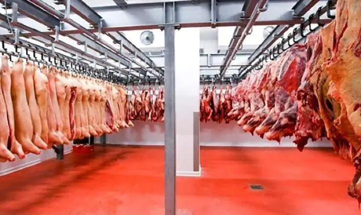 União Europeia barra exportação de carnes do Brasil